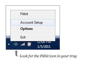 If the account set-up screen pictured above does not appear, right-click on the Fitbit Service Manager icon in the Windows Tray and choose Account Setup: