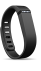 Fitbit Flex Image
